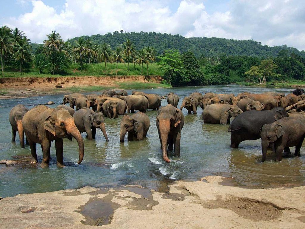 Heritage & Wildlife Explorer